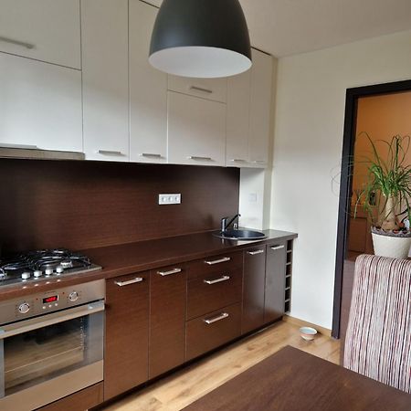 Siaure Apartment Каунас Екстериор снимка