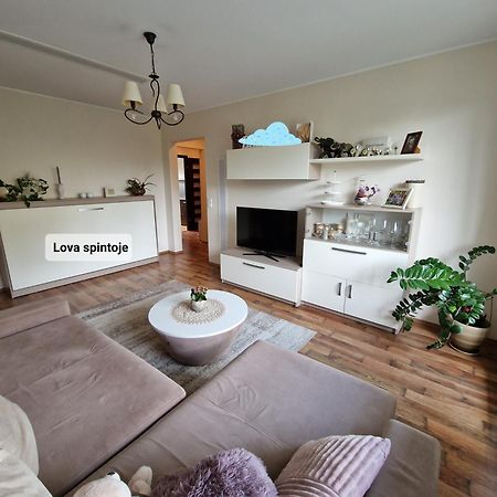Siaure Apartment Каунас Екстериор снимка